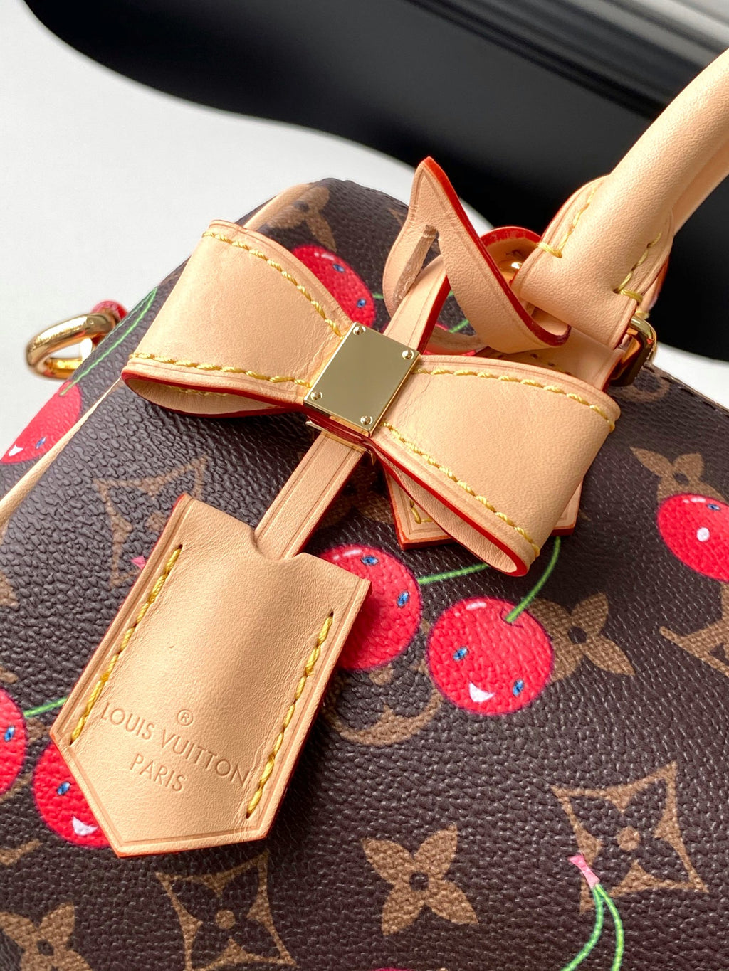 Louis Vuitton Speedy Bandoulière